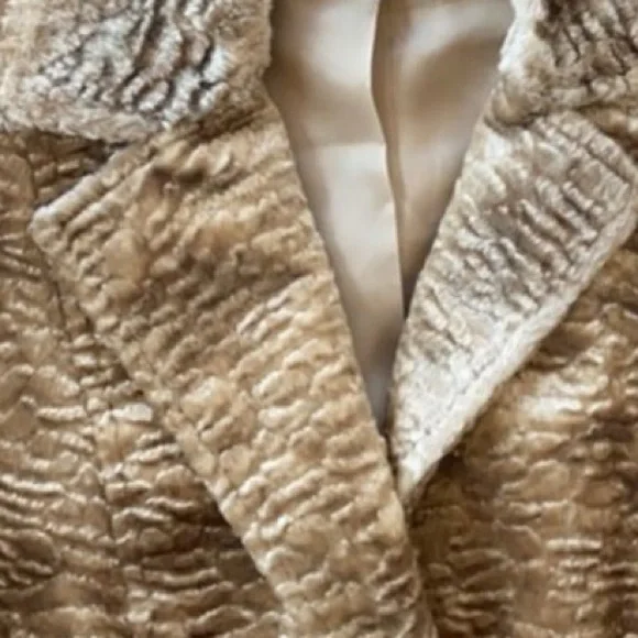 Worth New York Champagne Faux Fur Textured Blazer Jacket Size 12 Made in USA - Picture 4 of 12